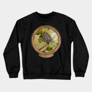 Juniper Hairstreak Crewneck Sweatshirt